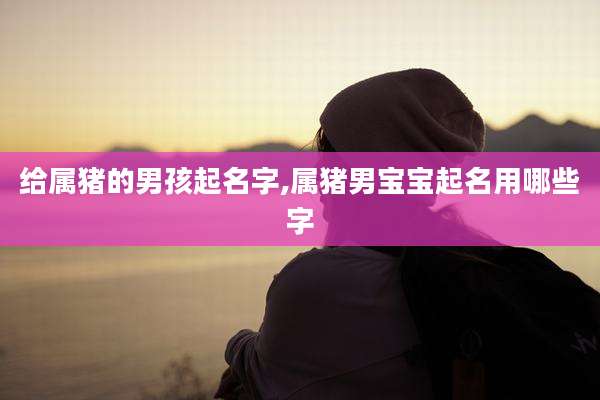 给属猪的男孩起名字,属猪男宝宝起名用哪些字