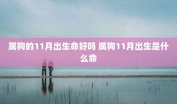 属狗的11月出生命好吗 属狗11月出生是什么命