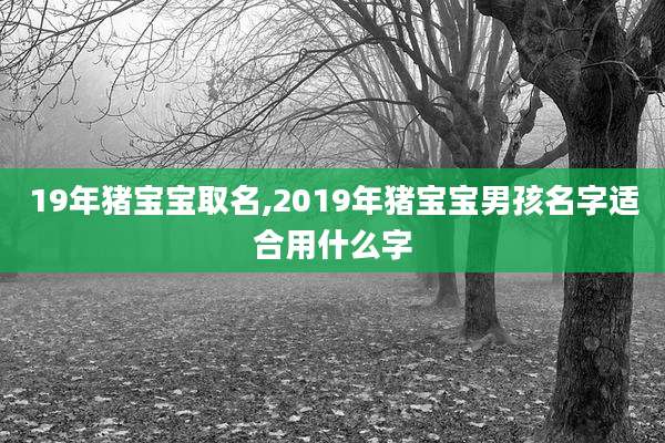 19年猪宝宝取名,2019年猪宝宝男孩名字适合用什么字
