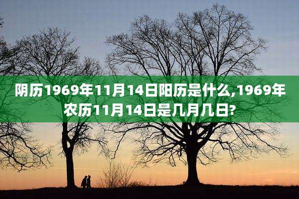 阴历1969年11月14日阳历是什么,1969年农历11月14日是几月几日?