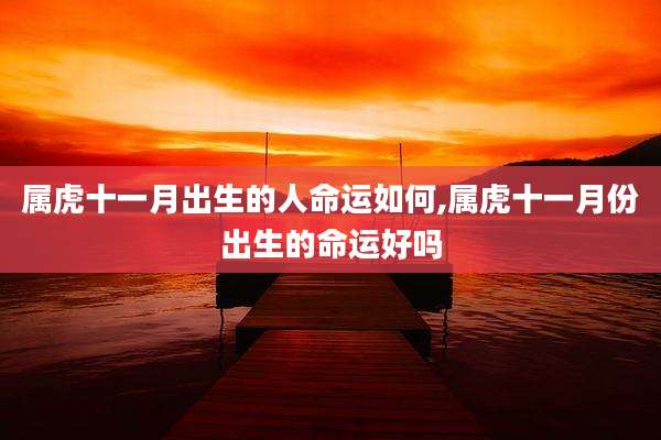 属虎十一月出生的人命运如何,属虎十一月份出生的命运好吗