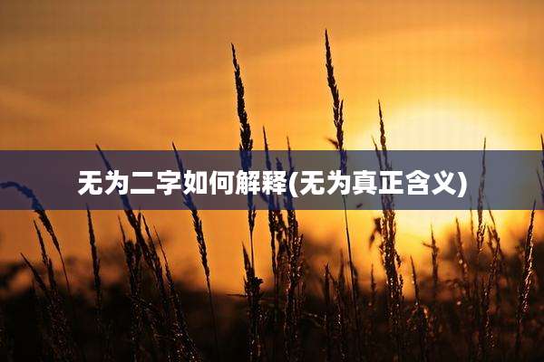 无为二字如何解释(无为真正含义)