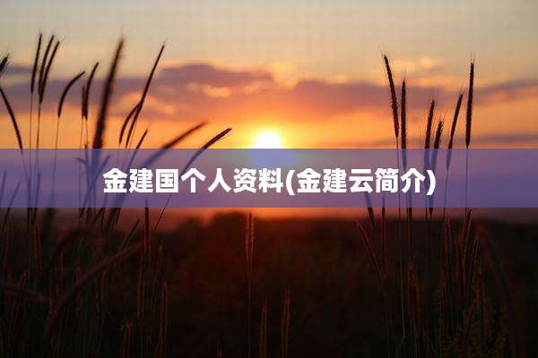 金建国个人资料(金建云简介)