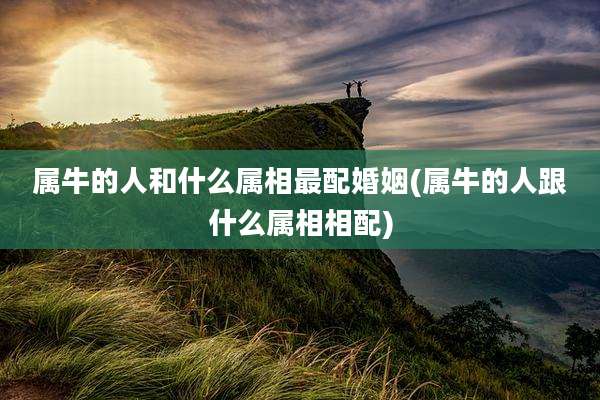 属牛的人和什么属相最配婚姻(属牛的人跟什么属相相配)
