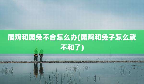 属鸡和属兔不合怎么办(属鸡和兔子怎么就不和了)