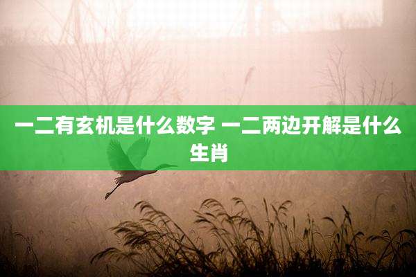 一二有玄机是什么数字 一二两边开解是什么生肖
