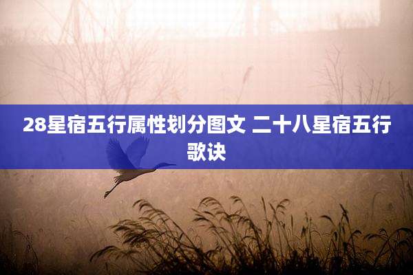 28星宿五行属性划分图文 二十八星宿五行歌诀