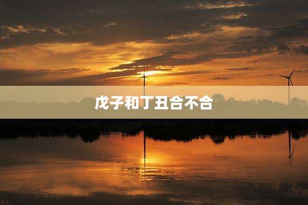 戊子和丁丑合不合