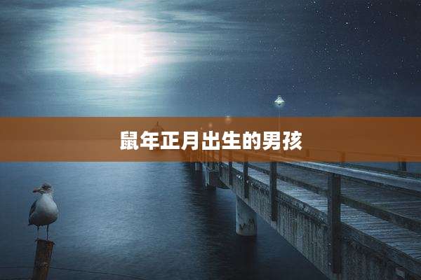 鼠年正月出生的男孩