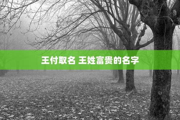 王付取名 王姓富贵的名字