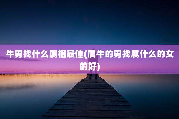 牛男找什么属相最佳(属牛的男找属什么的女的好)