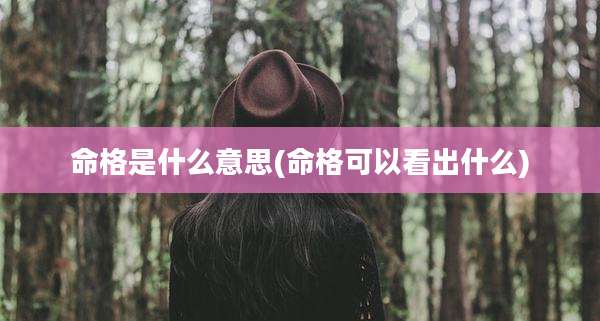 命格是什么意思(命格可以看出什么)