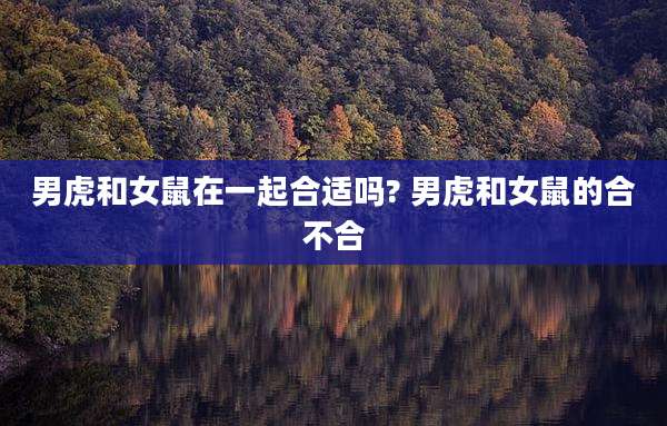 男虎和女鼠在一起合适吗? 男虎和女鼠的合不合