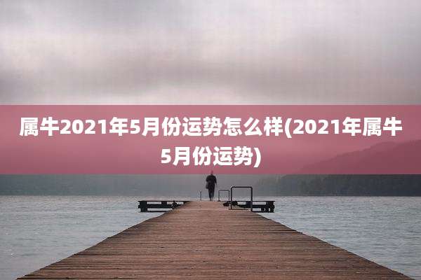 属牛2021年5月份运势怎么样(2021年属牛5月份运势)