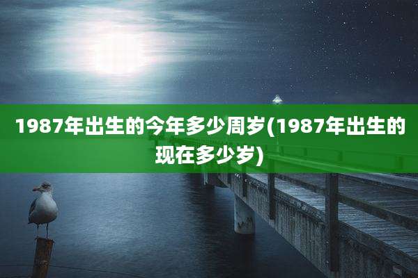 1987年出生的今年多少周岁(1987年出生的现在多少岁)