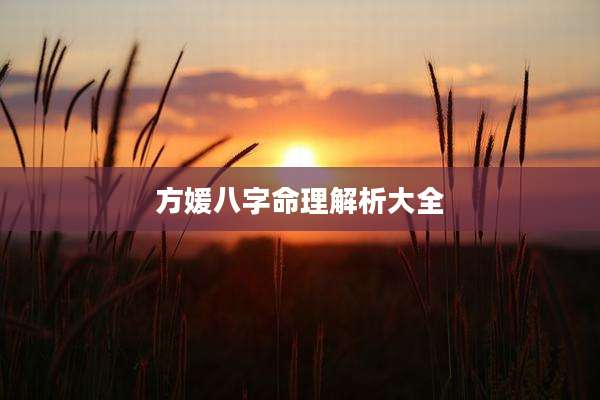 方媛八字命理解析大全
