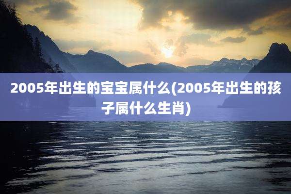 2005年出生的宝宝属什么(2005年出生的孩子属什么生肖)