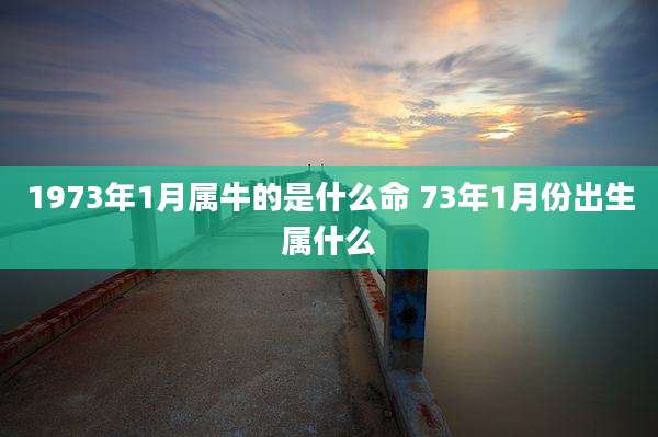 1973年1月属牛的是什么命 73年1月份出生属什么