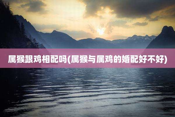 属猴跟鸡相配吗(属猴与属鸡的婚配好不好)