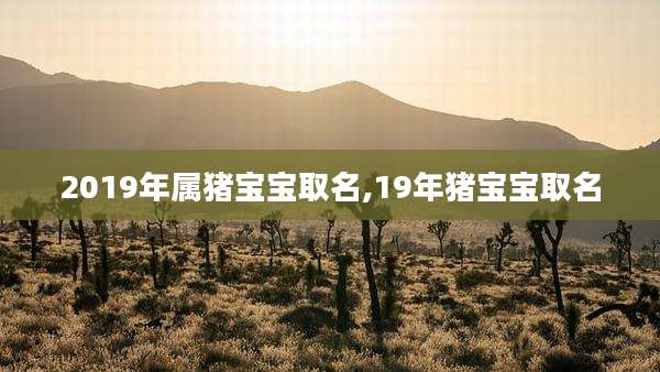 2019年属猪宝宝取名,19年猪宝宝取名
