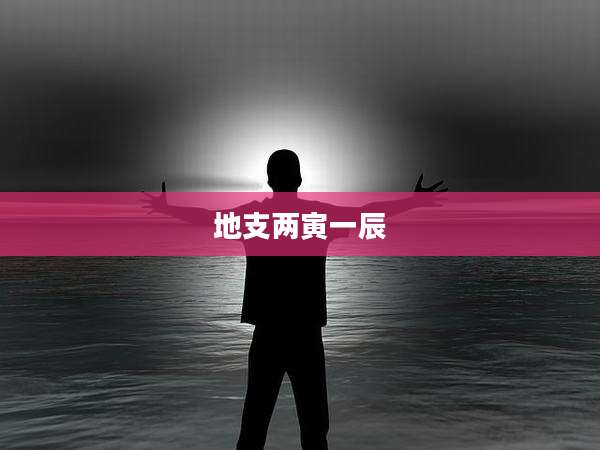 地支两寅一辰
