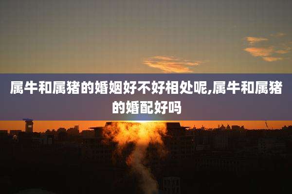 属牛和属猪的婚姻好不好相处呢,属牛和属猪的婚配好吗