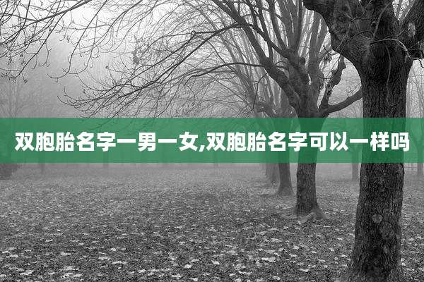 双胞胎名字一男一女,双胞胎名字可以一样吗