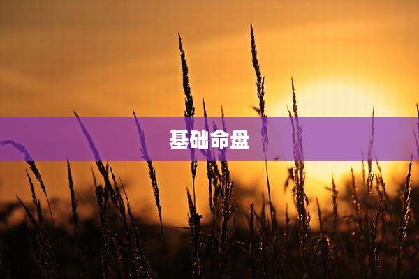 基础命盘