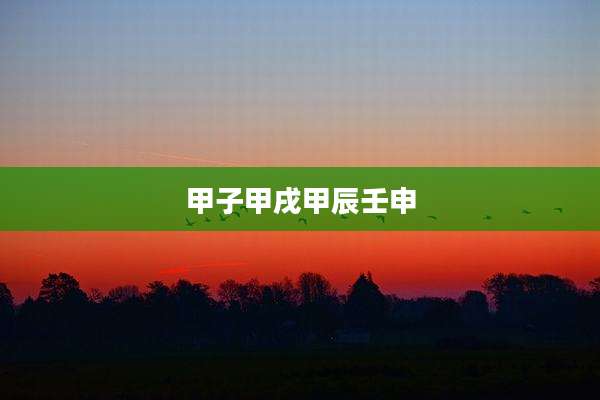 甲子甲戌甲辰壬申