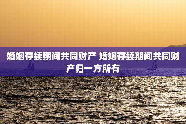 婚姻存续期间共同财产 婚姻存续期间共同财产归一方所有