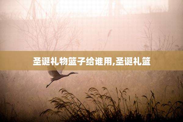 圣诞礼物篮子给谁用,圣诞礼篮