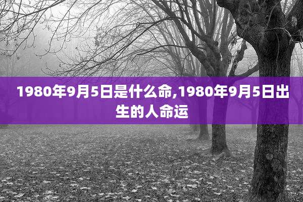 1980年9月5日是什么命,1980年9月5日出生的人命运