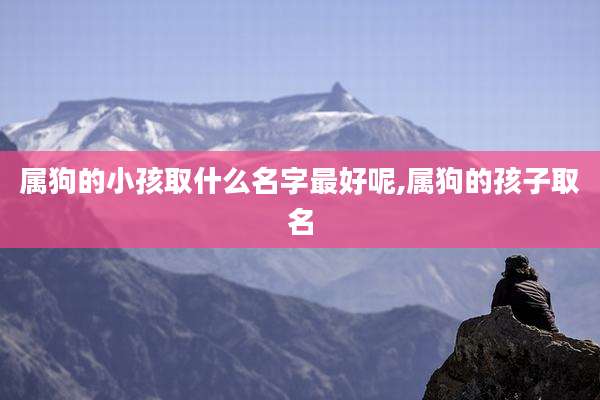 属狗的小孩取什么名字最好呢,属狗的孩子取名