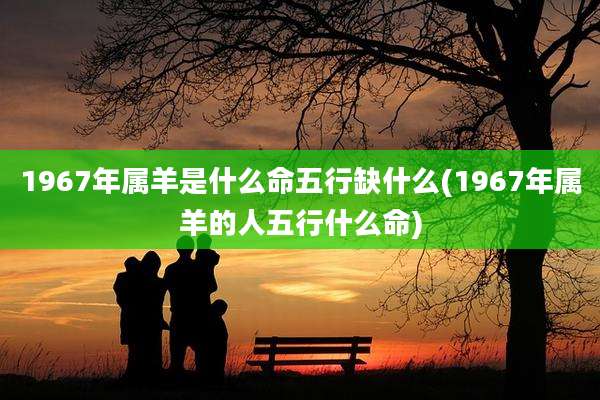 1967年属羊是什么命五行缺什么(1967年属羊的人五行什么命)