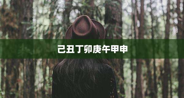 己丑丁卯庚午甲申