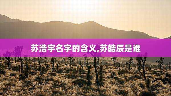 苏浩宇名字的含义,苏皓辰是谁