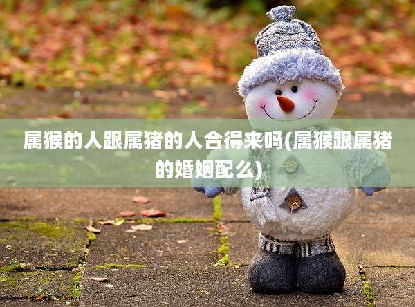 属猴的人跟属猪的人合得来吗(属猴跟属猪的婚姻配么)