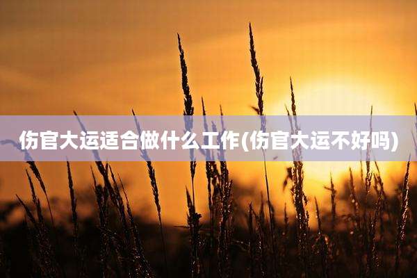 伤官大运适合做什么工作(伤官大运不好吗)