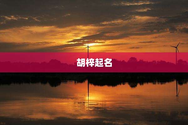 胡梓起名