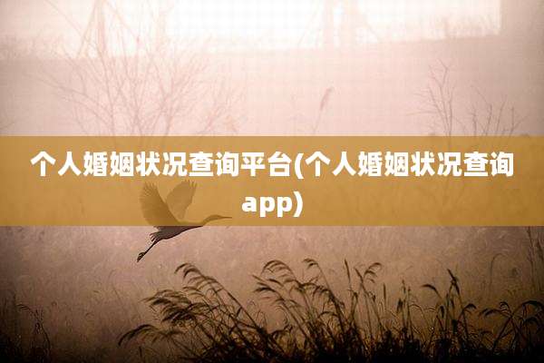 个人婚姻状况查询平台(个人婚姻状况查询app)