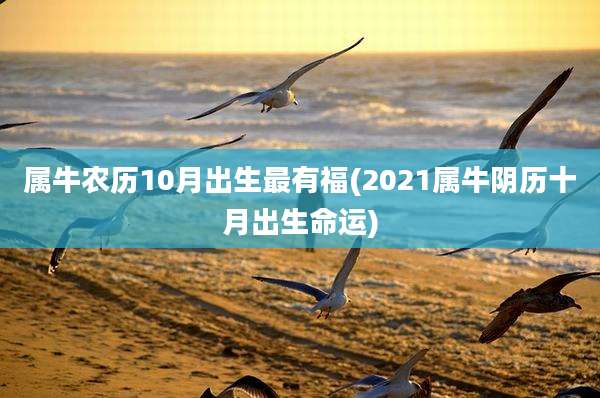 属牛农历10月出生最有福(2021属牛阴历十月出生命运)