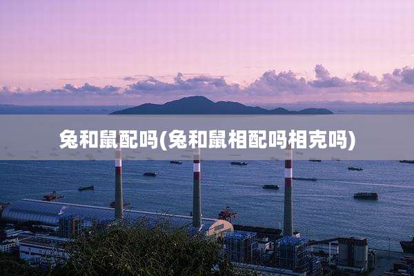 兔和鼠配吗(兔和鼠相配吗相克吗)