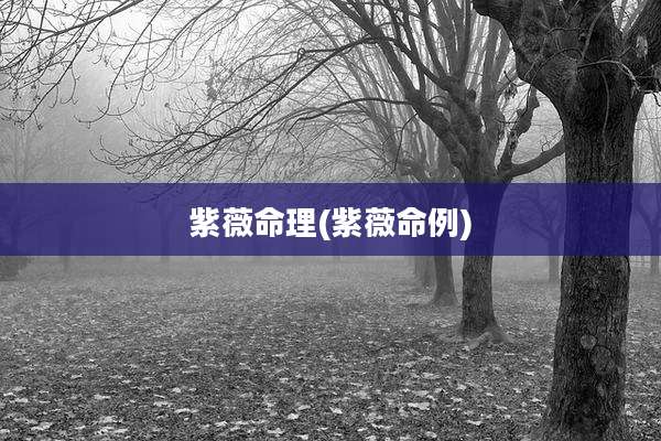 紫薇命理(紫薇命例)