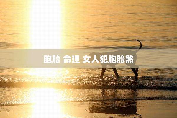 胞胎 命理 女人犯胞胎煞