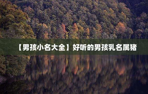 【男孩小名大全】好听的男孩乳名属猪