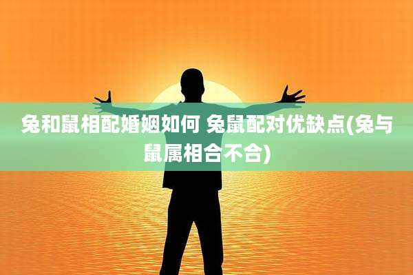 兔和鼠相配婚姻如何 兔鼠配对优缺点(兔与鼠属相合不合)