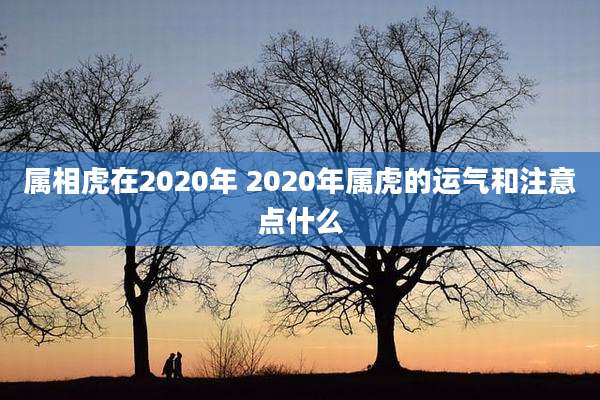 属相虎在2020年 2020年属虎的运气和注意点什么