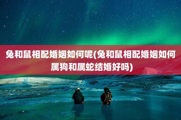 兔和鼠相配婚姻如何呢(兔和鼠相配婚姻如何 属狗和属蛇结婚好吗)