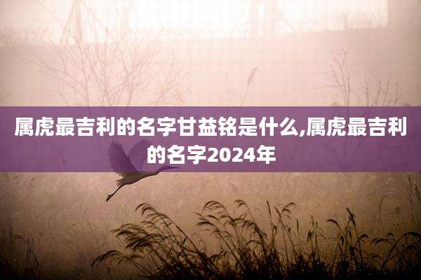 属虎最吉利的名字甘益铭是什么,属虎最吉利的名字2024年