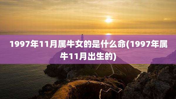 1997年11月属牛女的是什么命(1997年属牛11月出生的)